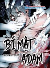 bi-mat-adam.jpg