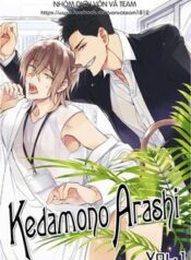 kedamono-arashi-.jpg